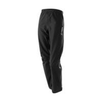 Löffler GTX Active Pant Women (16243)