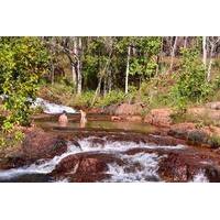 Litchfield Day Tour from Darwin Including Wangi Falls Florence Falls and Buley Rockhole