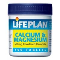 lifeplan calcium magnesium 500mg 100 tablet