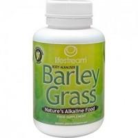 Lifestream Barley Grass Powder 250 g