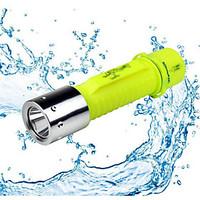 Lights LED Flashlights/Torch LED 500 Lumens 1 Mode - AA WaterproofCamping/Hiking/Caving Everyday Use Diving/Boating Hunting Traveling