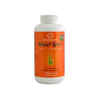 LifeStream Organic Wheatgrass Powder, 250gr