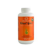 lifestream organic wheatgrass powder 250gr