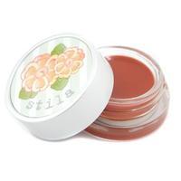 lip pots tinted lip balm 02 amande 25g008oz