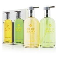 liquid hand wash set lemon mandarin 300ml10oz puritas 300ml10oz 2pcs