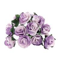 Lilac Tea Roses