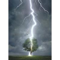 lighting striking tree 1000pc jigsaw puzzle