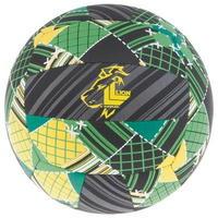 Lion Beachball Gr 5