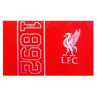 Liverpool Since Flag