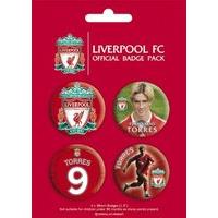 Liverpool Fernando Torres Badge Pack