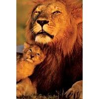 Lion & Cub Poster