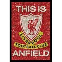 Liverpool Fc Mosaic Poster