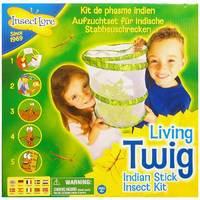 Living Twig Stick Insect Kit with live voucher