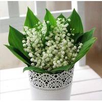 Lily of the valley blank card