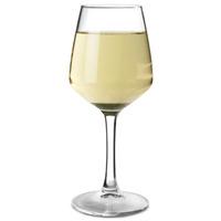 Lineal Wine Glasses 10.3oz / 310ml (Case of 24)