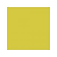Lime Slice Green Gloss Tiles - 148x148x6mm