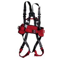 Lifting & Crane Lifting & Crane ECOSAFEX Expert Fall Arrest Harness With Work Positioning Belt