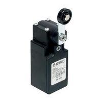 Limit switch 250 Vac 6 A Pivot lever momentary Pizzato Elettrica FR 531-M2 IP67 1 pc(s)