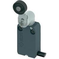Limit switch 250 Vac 4 A Pivot lever momentary Pizzato Elettrica NF B112KG-DN2 IP67 1 pc(s)
