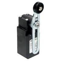 Limit switch 250 Vac 6 A Pivot lever momentary Pizzato Elettrica FR 556-M2 IP67 1 pc(s)