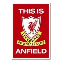Liverpool FC Poster This Is Anfield White Framed - 96.5 x 66 cms (Approx 38 x 26 inches)