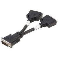 LINDY DMS 59 Male to 2 x DVI-I Female Splitter Cable