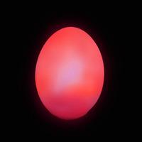 Light Up Colour Changing Egg (Single)