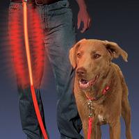 Light Up Dog Lead - Night Dawg