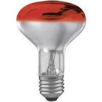 light bulb 116 mm paulmann 230 v e27 60 w red eec e reflector bulb dim ...