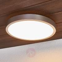 liyan silver led ceiling lamp for the bathroom