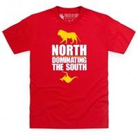 Lions 2013 North South T Shirt