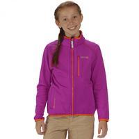 Limit Softshell Vivid Viola