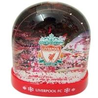 Liverpool Stadium Snow Dome