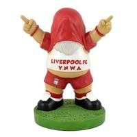 Liverpool Shirt Overhead Gnome