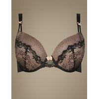 Limited Collection Lace Padded Plunge Bra DD-GG