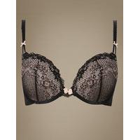 limited collection lace padded push up plunge bra a dd