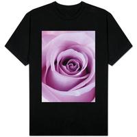 Light Purple Rose