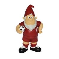 Liverpool Standard Gnome