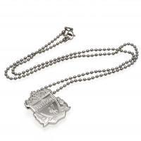 Liverpool F.C. Stainless Steel Pendant &amp;amp; Chain CR