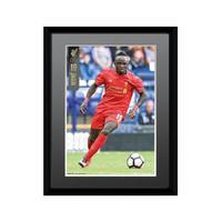 Liverpool F.C. Picture Mane 8 x ...