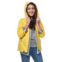 lighthouse wren ladies coat dandelion