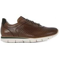 lion etrusco 311 mens shoes trainers in multicolour