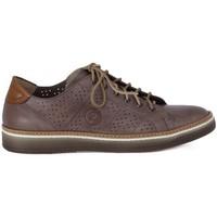 lion etrusco 211 perla mens shoes trainers in multicolour