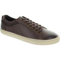 limited edition remus low lace mens shoes trainers in brown