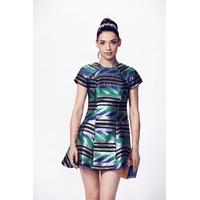 Liquorish Metalgraphic Skater Dress