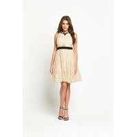 Little Mistress Embellished Neck Dress With Waist Band