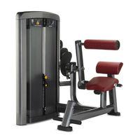 Life Fitness Insignia Series Back Extension