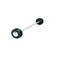 lifemaxx lmx77 straight barbells