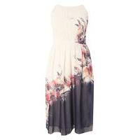 Little Mistress Multi Colour Floral Print Midi Dress, Bright Multi