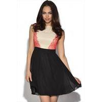 Little Mistress Lace Panel Fit And Flare Dress